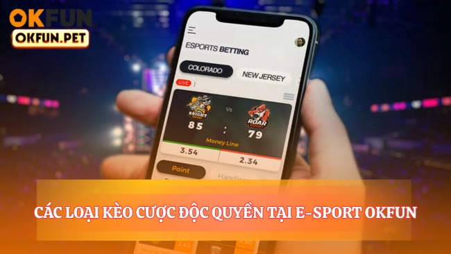 Các Loại Kèo Cược Độc Quyền Tại E-Sport OKFUN