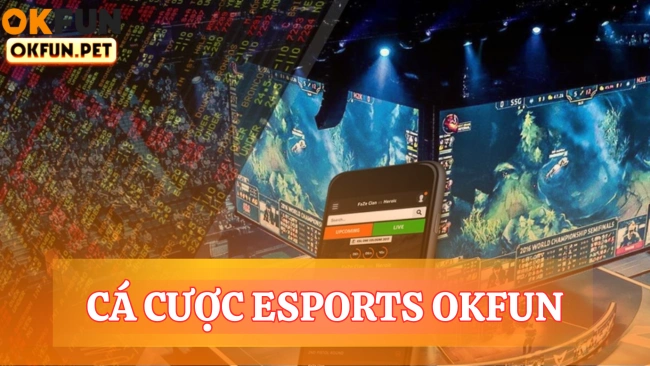 Cá cược esports OKFUN